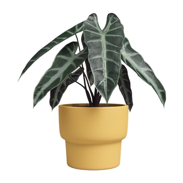 Keramikas ar rokām radīts puķu pods ø 20 cm Echo – Artevasi-image-3