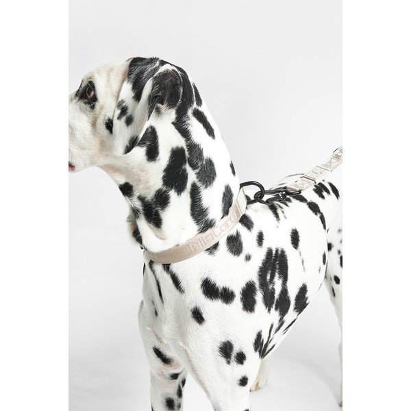 Bēša kaklasiksna L/XL garums 40 cm Modena Greige L/XL – MiaCara-image-1