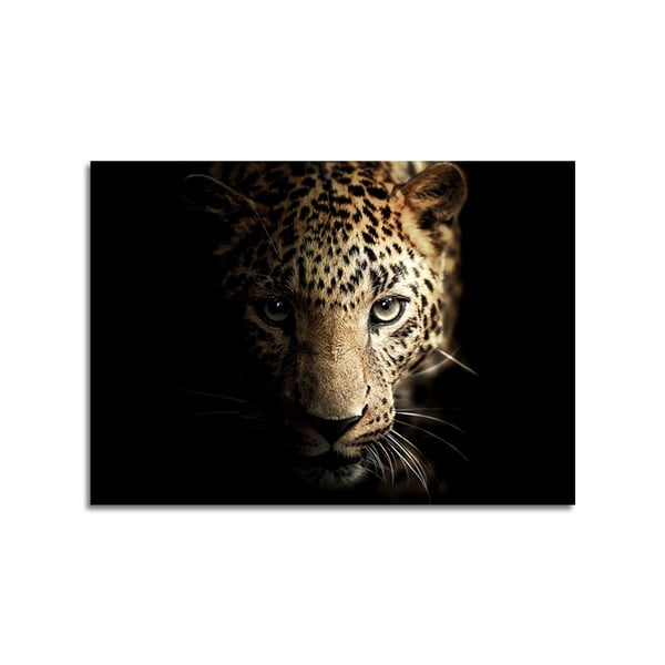 Stikla glezna Styler Leopard, 70 x 100 cm