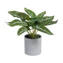 Mākslīgais augs (augstums 21 cm) Syngonium – Ixia