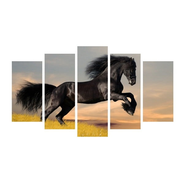 Insigne Zirga formas daudzdaļīga glezna, 102 x 60 cm