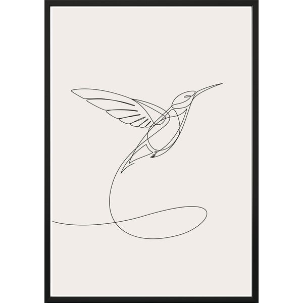 Sienas plakāts rāmī SKETCHLINE/HUMMINGBIRD, 70 x 100 cm