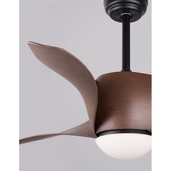 Matēti melna/tumša dabīga toņa metāla LED griestu lampa ar stikla abažūru Breeze – Nova Luce-image-1