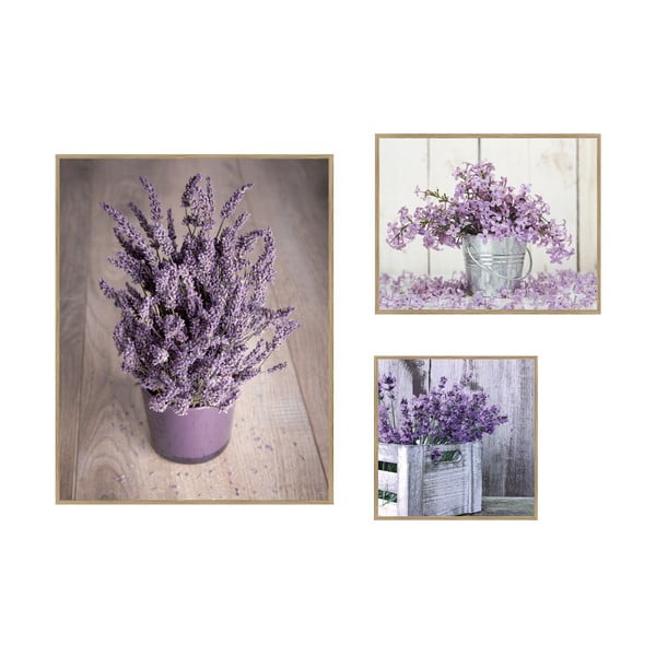 Gleznas (3 gab.) 40x50 cm Purple Flowers – knor
