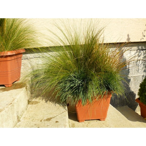 Brūns pašlaistošs puķu pods Plastia Bergamot, 50 x 50 cm-image-1