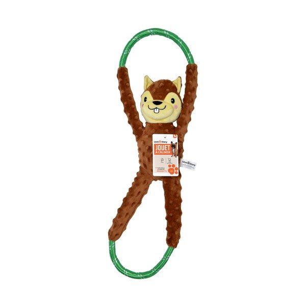 Rotaļlieta suņiem Squirrel – Love Story-image-1