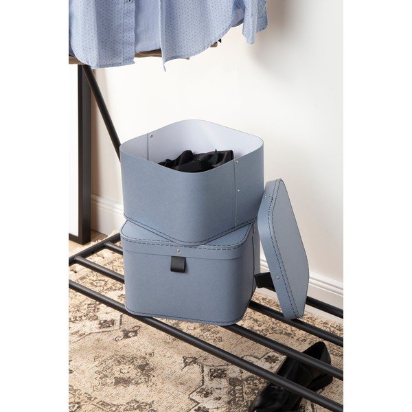 Kartona uzglabāšanas kastes ar vāku (2 gab.) Ludvig – Bigso Box of Sweden-image-1