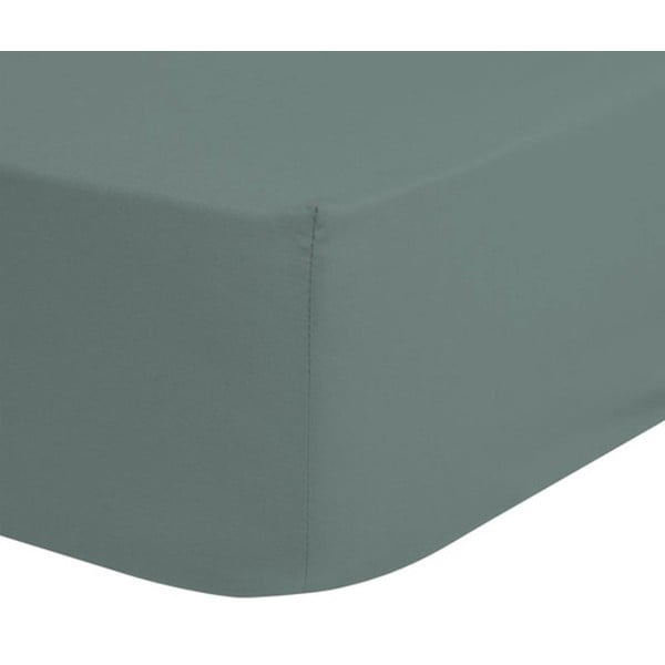 Zaļš kokvilnas palags ar gumiju bērniem Good Morning, 70 x 140/150 cm-image-1