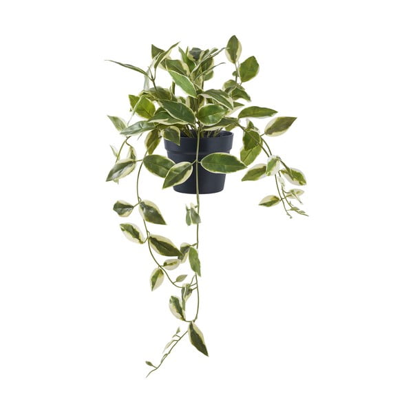 Mākslīgais augs (augstums 33 cm) Hoya Carnosa – House Nordic