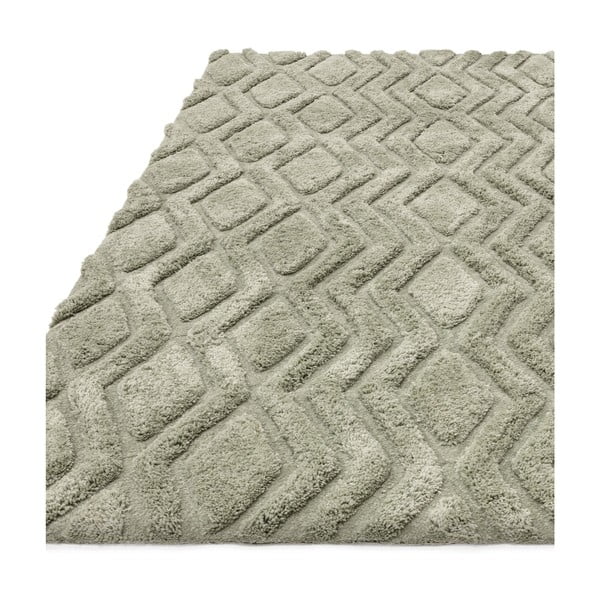 Zaļš paklājs 170x120 cm Harrison – Asiatic Carpets-image-4