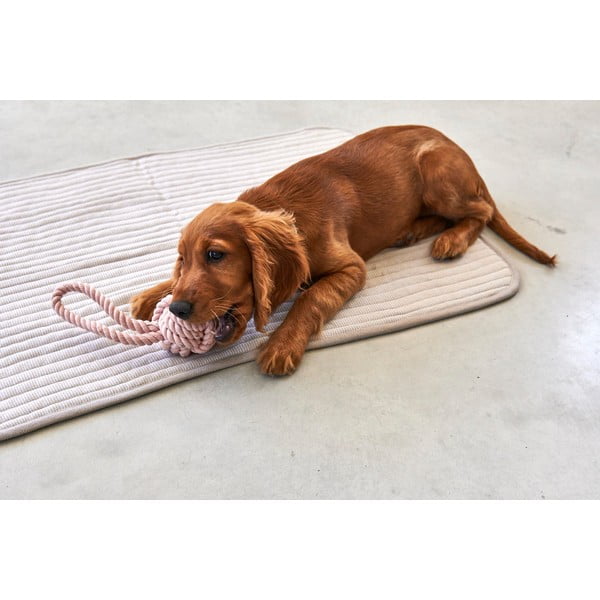 Pelēka kokvilnas sega suņiem 60x80 cm Onda Greige S – MiaCara-image-3