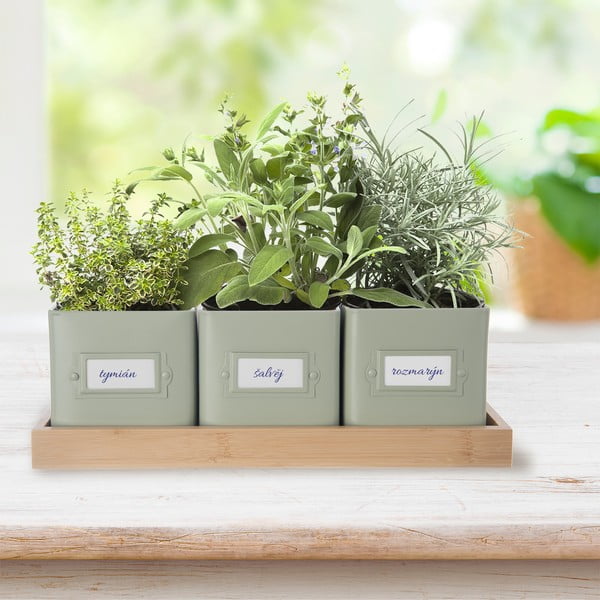 Metāla puķu podi garšaugiem (3 gab.) Greenish – Orion-image-1