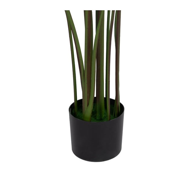 Mākslīgais augs (augstums 150 cm) Calathea – Ixia-image-1