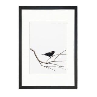 Plakāts 24x29 cm Bird on the Branch - Tablo Center