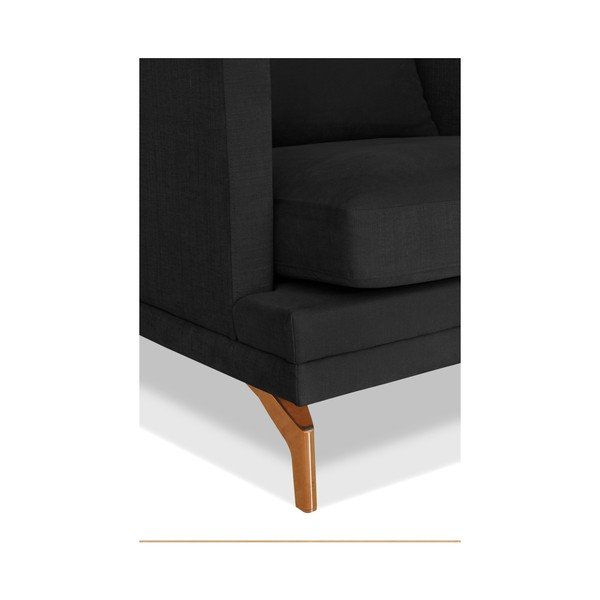 Tumši pelēks trīsvietīgs dīvāns Windsor & Co. Dīvāni Jupiter-image-2