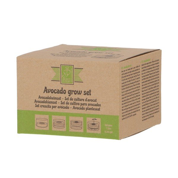 Stikla diedzēšanas trauks ø 14 cm Avocado – Esschert Design-image-4