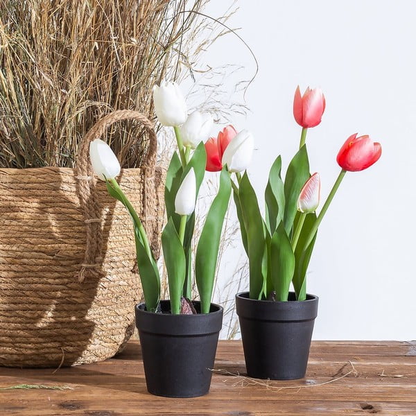Mākslīgais augs (augstums 31 cm) Tulips – Ixia-image-1