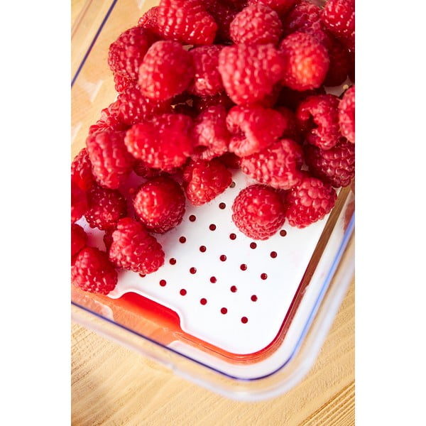 Plastmasas ledusskapja organizators Cauma – Rotho-image-3