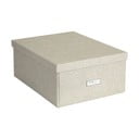 Uzglabāšanas kaste ar vāku Katrin – Bigso Box of Sweden