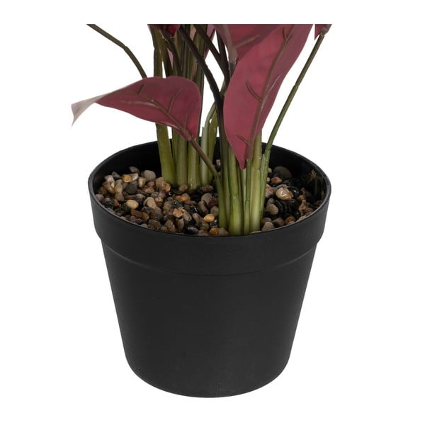 Mākslīgais augs (augstums 55 cm) Bird of Paradise – Ixia-image-2
