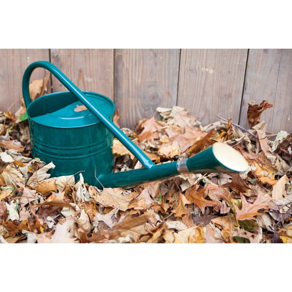 Zaļa metāla lejkanna Esschert Design Fresh, 7,5 l-image-1