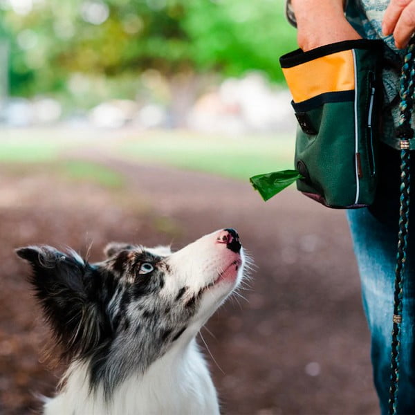 Pamlsovnik Deluxe Moss - P.L.A.Y.-image-1