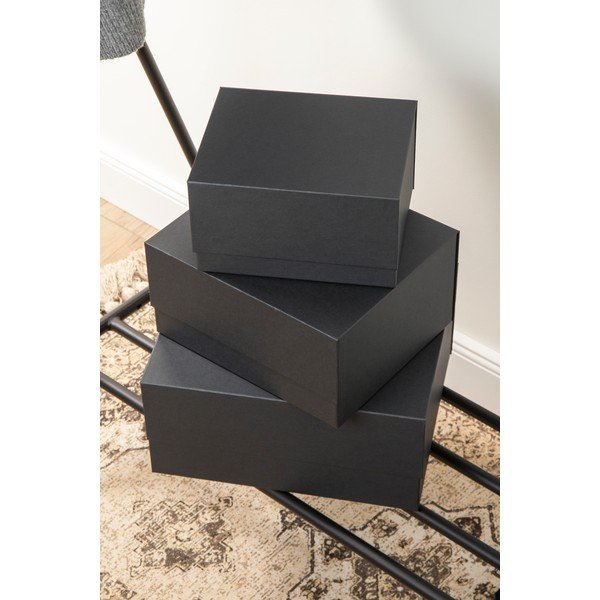 Kartona uzglabāšanas kastes ar vāku (3 gab.) Ilse – Bigso Box of Sweden-image-1