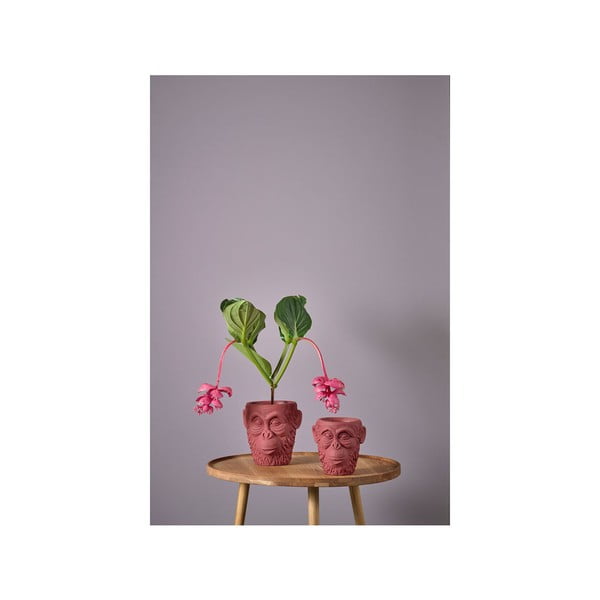 Sarkans puķu pods Villa Collection Calbe, augstums 19 cm-image-3