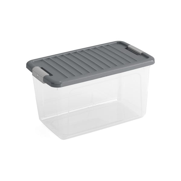 Plastmasas uzglabāšanas kaste ar vāku 49x30x28,5 cm W box M – KIS