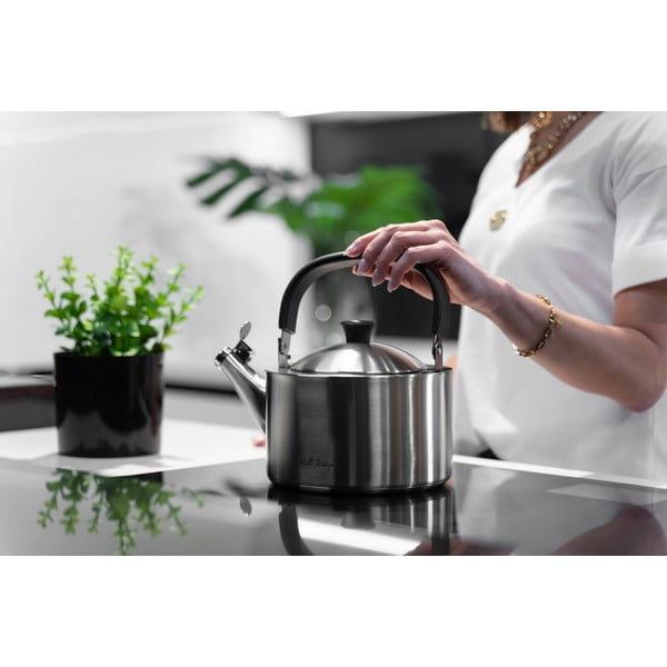 Matēta nerūsējošā tērauda tējkanna ar svilpi Vialli Design Diamante, 1,5 l-image-4