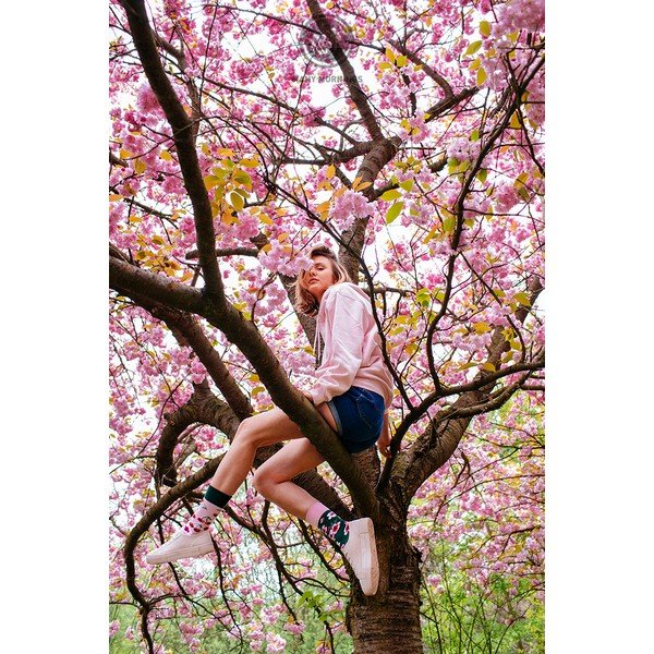 Zeķes Many Mornings Cherry Blossom, 35-38 izmērs-image-1