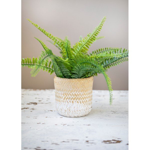 Puķu pods Kitchen Craft Ombré-image-4