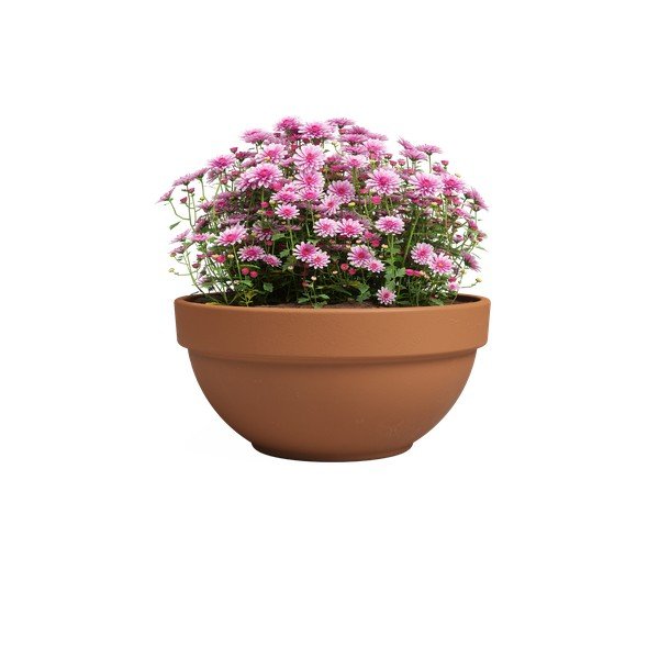 Terakotas puķu pods ø 20 cm Amalia Campana – Artevasi-image-2