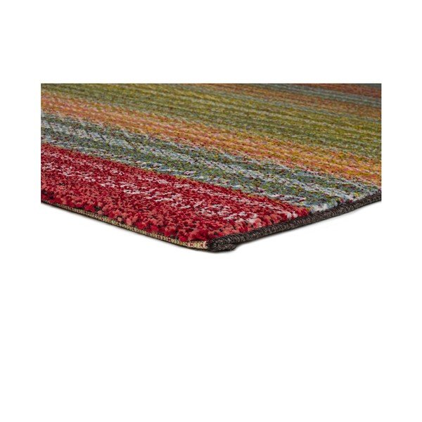 Paklājs piemērots izmantošanai ārpus telpām Universal Moar Multi Carro, 120 x 170 cm-image-2