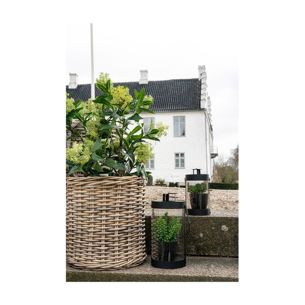 Mākslīgais augs Skimmia – House Nordic-image-4