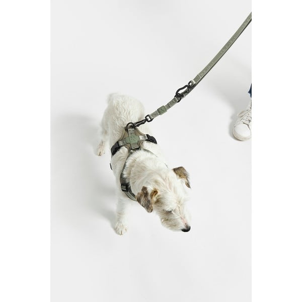 Bēša noņemama pavada garums 200 cm Modena Greige 20 mm – MiaCara-image-4