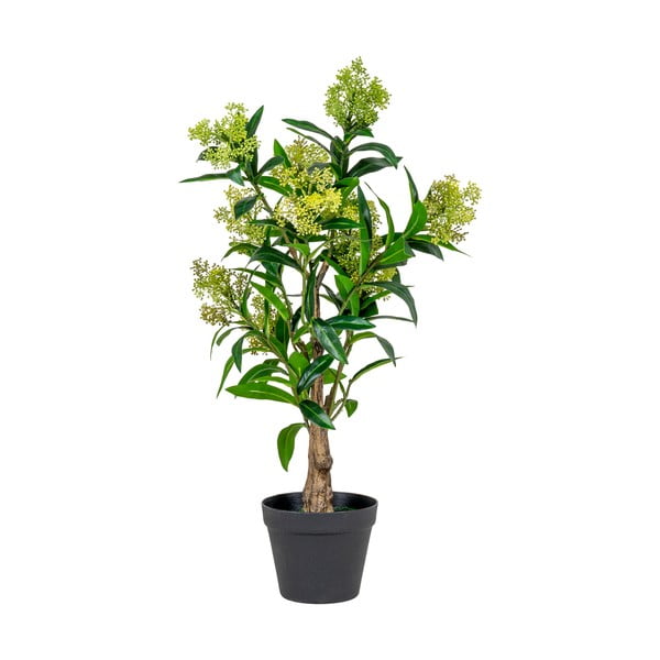 Mākslīgais augs Skimmia – House Nordic