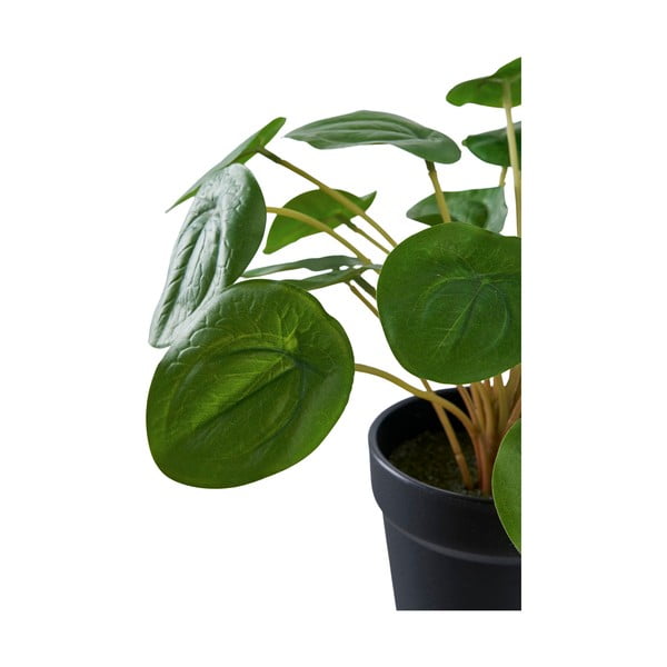 Mākslīgais augs (augstums 28 cm) Pelia – House Nordic-image-4