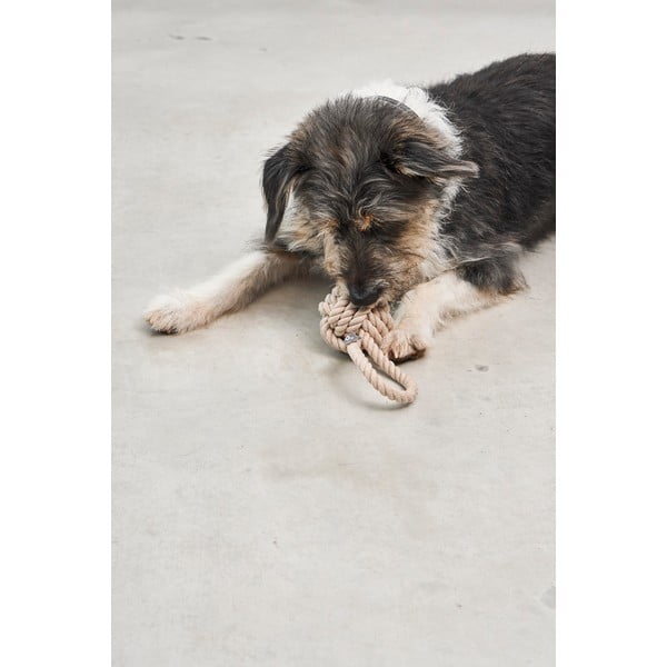 Rotaļlieta suņiem Nodo Greige – MiaCara-image-1