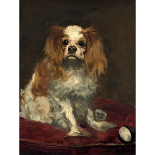 Gleznas reprodukcija 30x40 cm A King Charles Spaniel – Fedkolor
