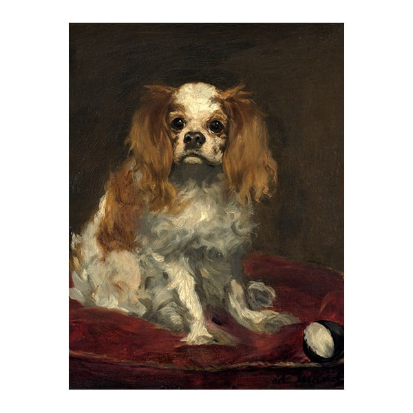 Gleznas reprodukcija 30x40 cm A King Charles Spaniel – Fedkolor