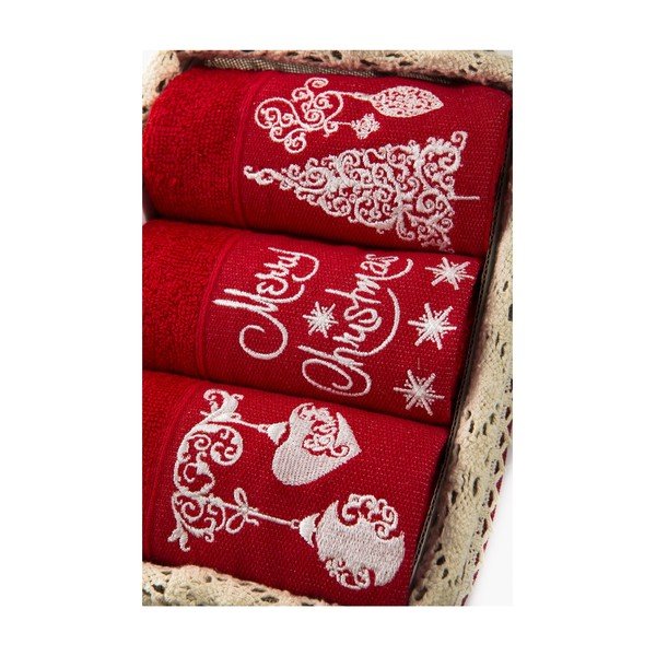 3 dvieļu komplekts Xmas V6, 30x50 cm-image-1
