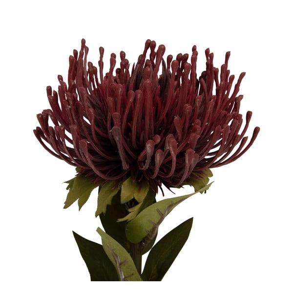 Mākslīgais augs (augstums 60 cm) Protea – PT LIVING-image-1