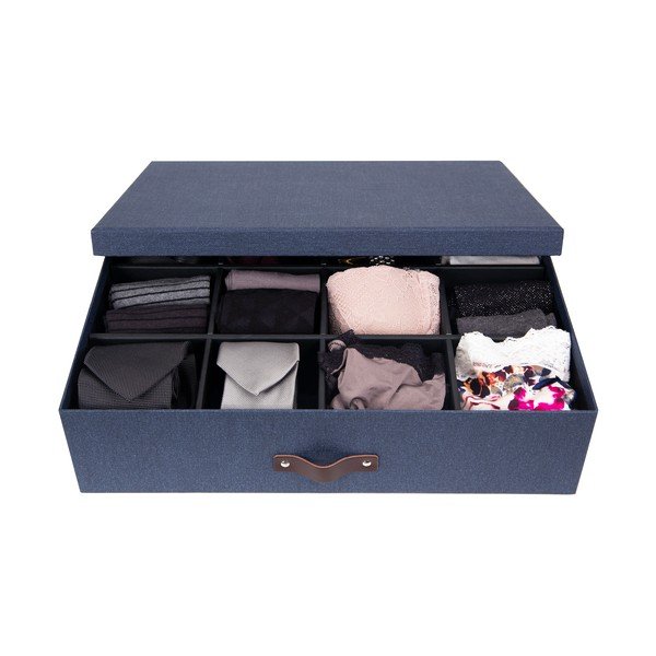 Zila uzglabāšanas kaste ar nodalījumiem Bigso Box of Sweden Jakob-image-2
