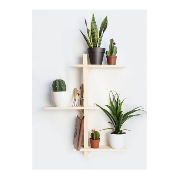 Egles koka augu plaukts Really Nice Things Natural