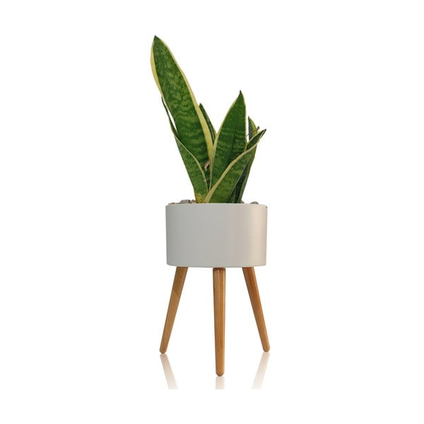 Balts pašlaistošs puķu pods Tomasucci Calla, ø 33 cm-image-1