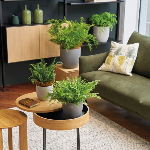 Keramikas puķu pods ø 24 cm Basel Stone – Big pots-image-1