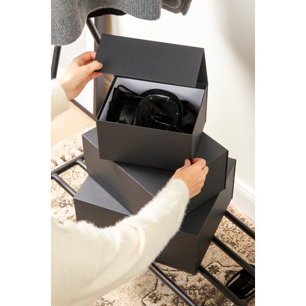 Kartona uzglabāšanas kastes ar vāku (3 gab.) Ilse – Bigso Box of Sweden-image-2