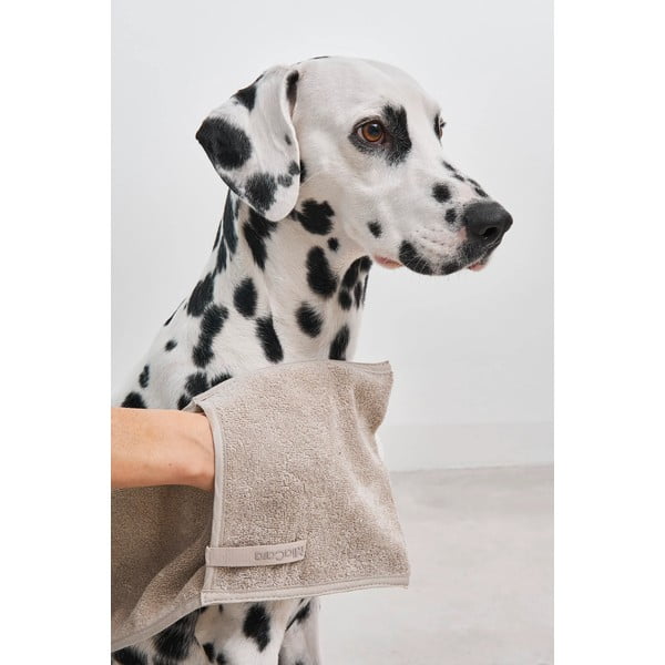 Dvielis mājdzīvniekiem Mano Midnight – MiaCara-image-2