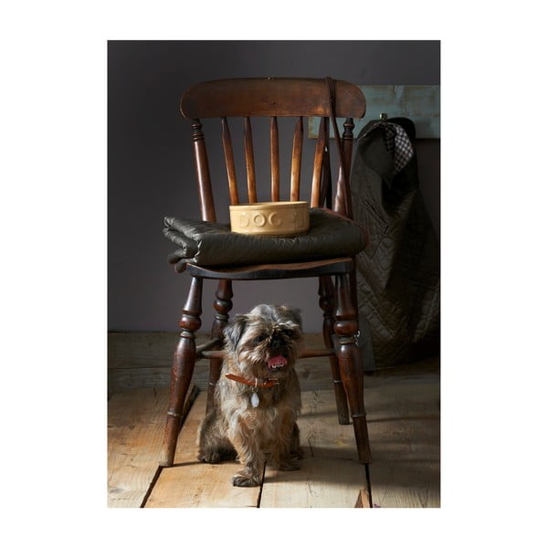 Māla bļoda suņiem Mason Cash Dog Cane, ø 25 cm-image-2